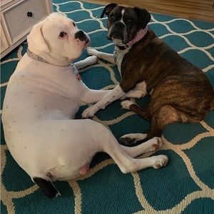 Meet your Posher, Rayna